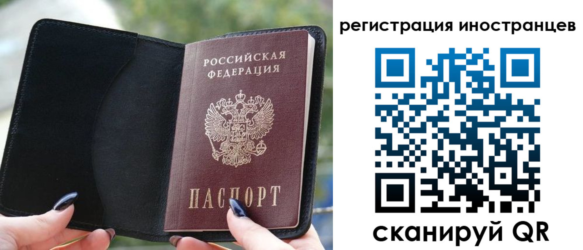 найти адрес прописки в Жукове